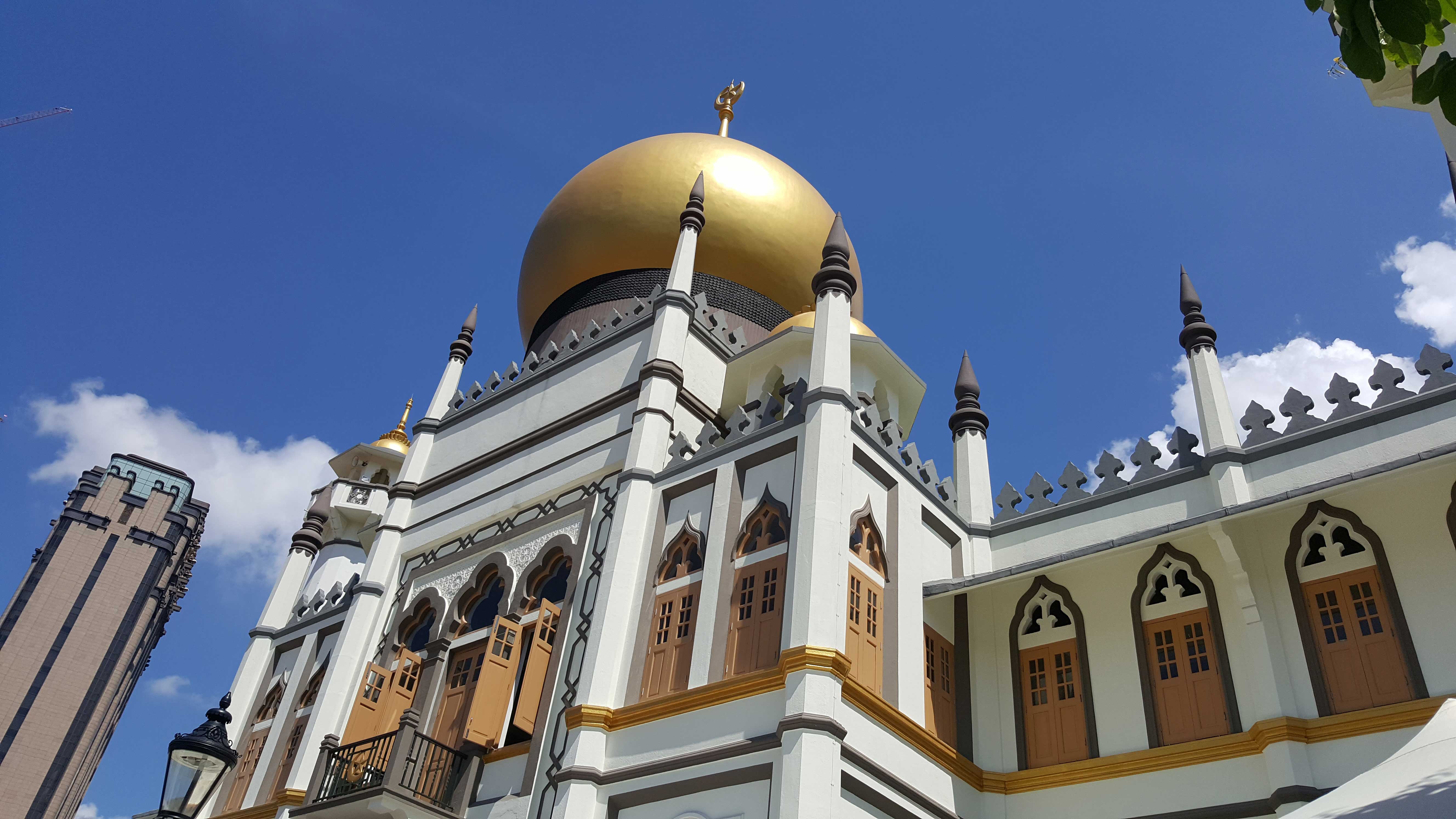 Asian Tigers Canada Day