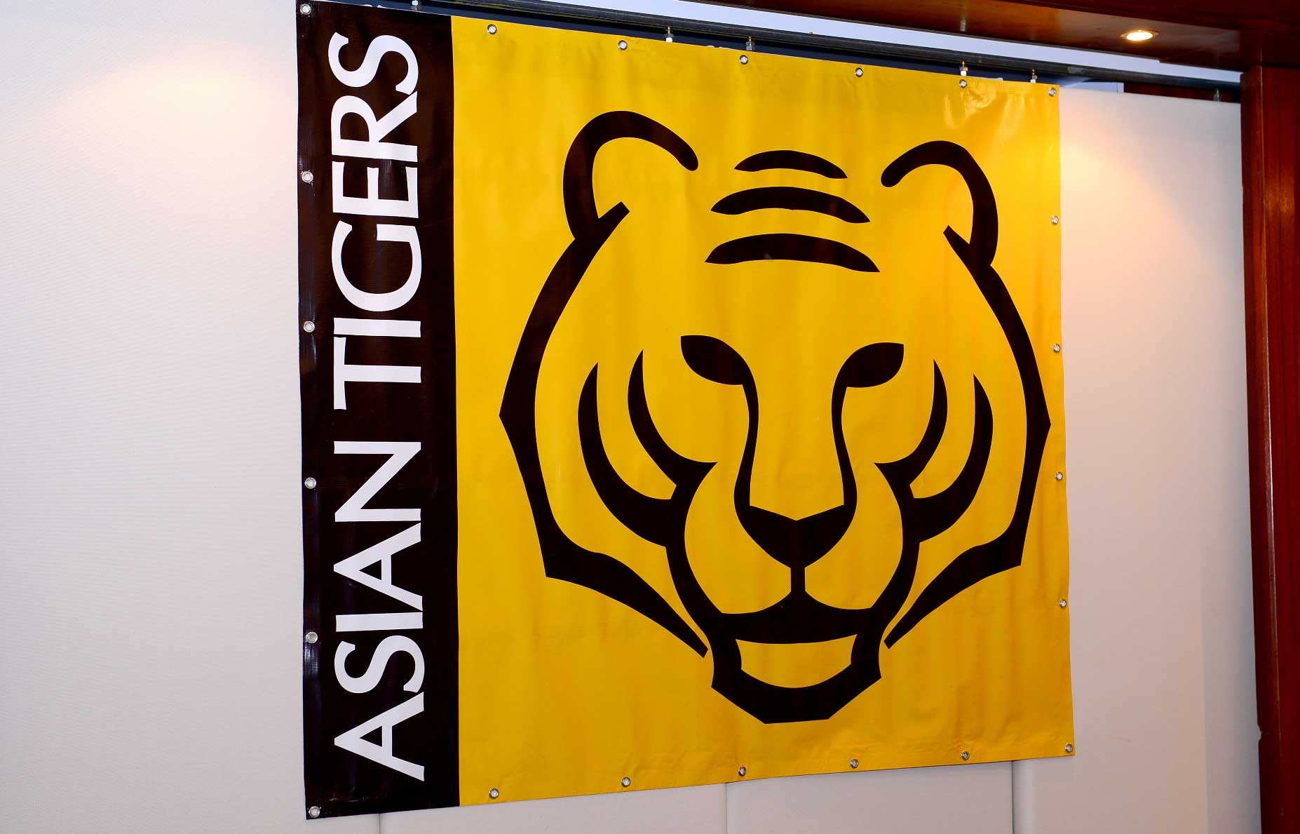 Asian Tigers Canada Day