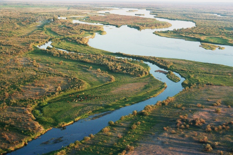 Asian Tigers Canada Day