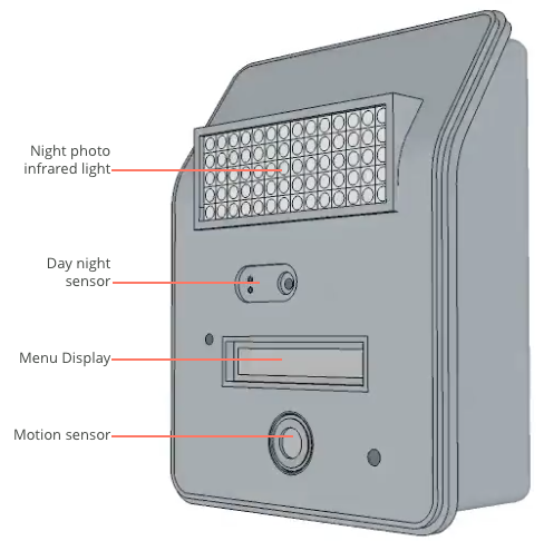 Asian Tigers Canada Day