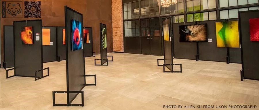 Asian Tigers Canada Day