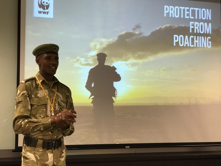 Asian Tigers Canada Day