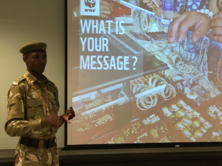 Asian Tigers Canada Day