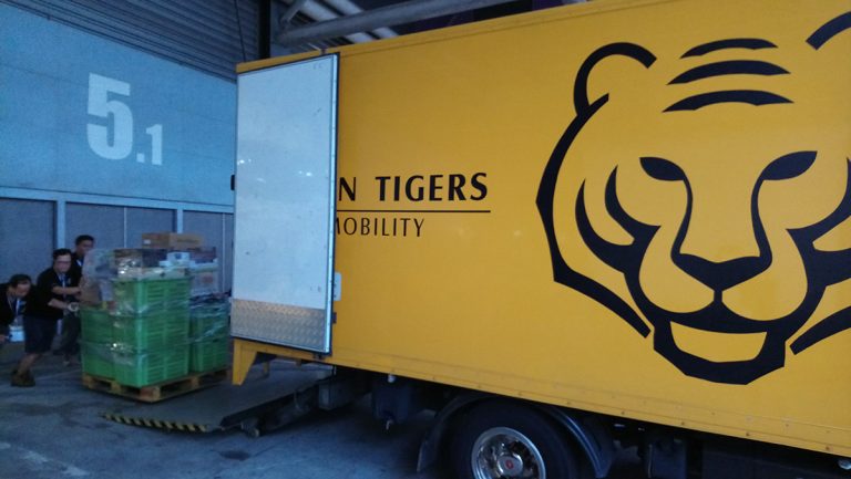 Asian Tigers Canada Day