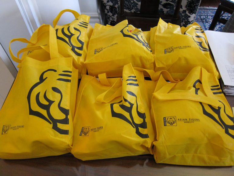 Asian Tigers Canada Day