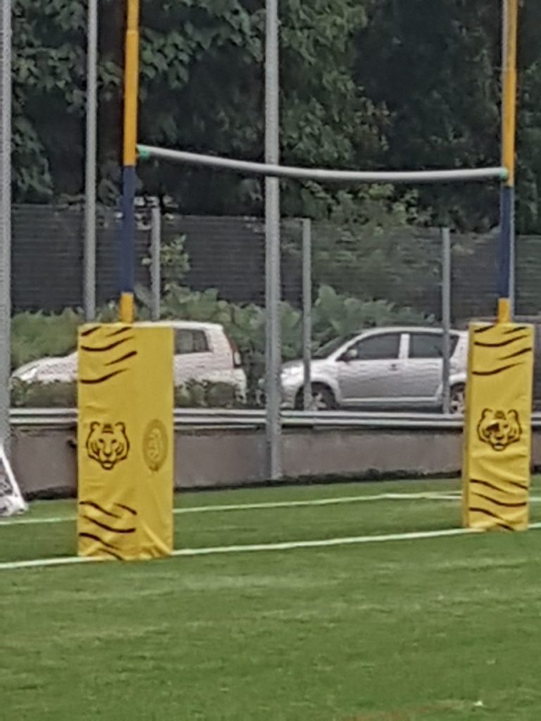 Asian Tigers Canada Day