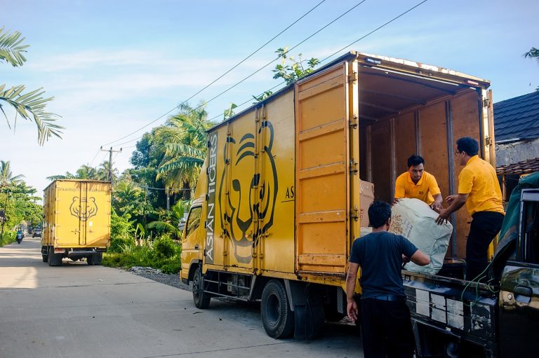 Asian Tigers Canada Day
